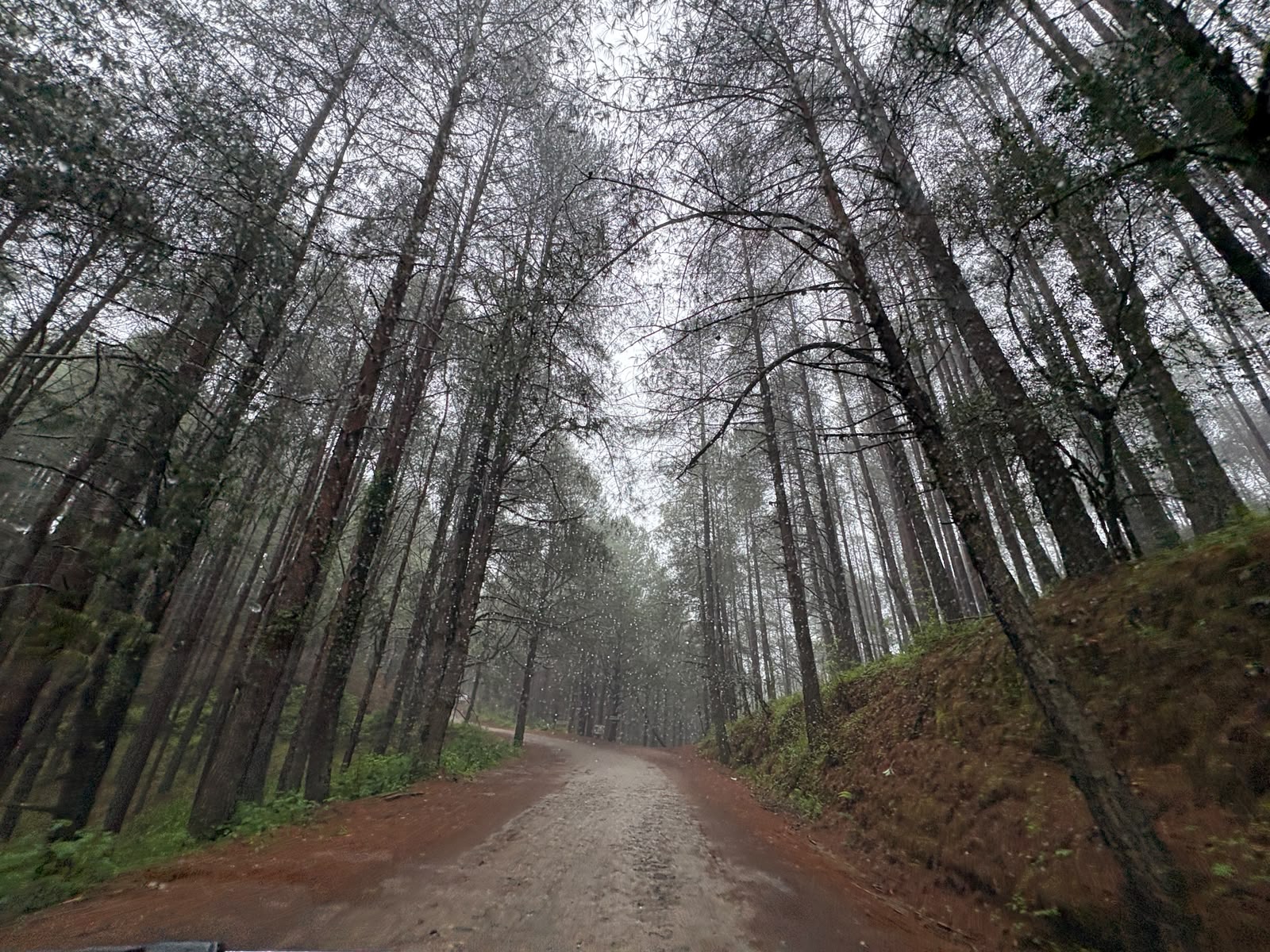 Ruta 6: Senderismo a Santa Catarina Ixtepeji 3